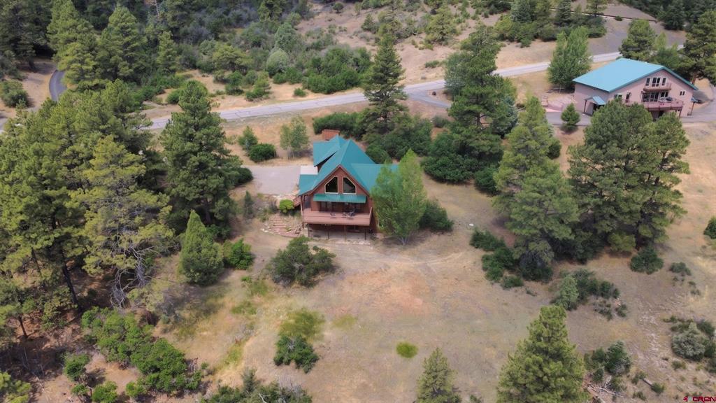 1165 Cool Pines Drive Pagosa Springs CO 81147