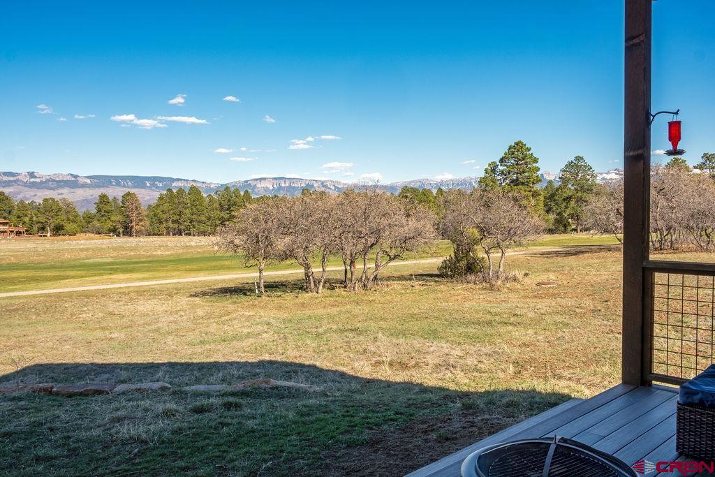 524 S Badger Trail Ridgway CO 81432