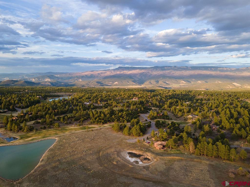 524 S Badger Trail Ridgway CO 81432