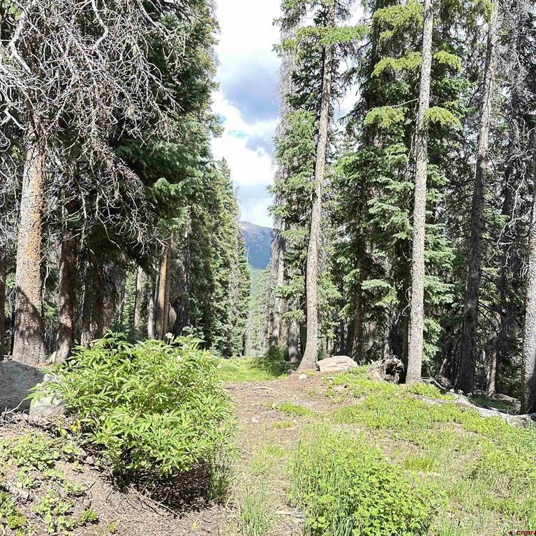 Tbd Miner3466 Lake City CO 81235