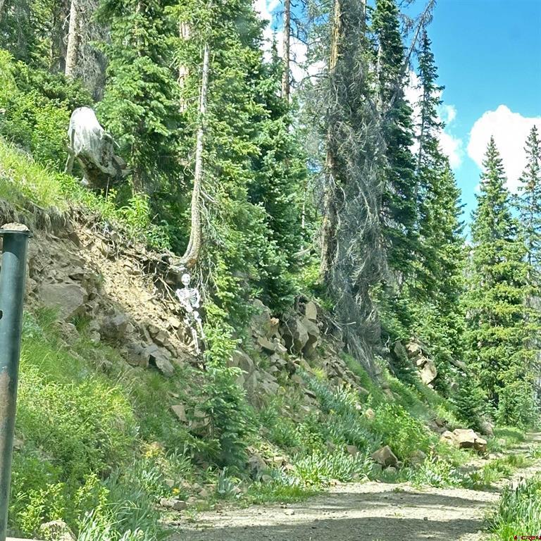 Tbd Miner3466 Lake City CO 81235