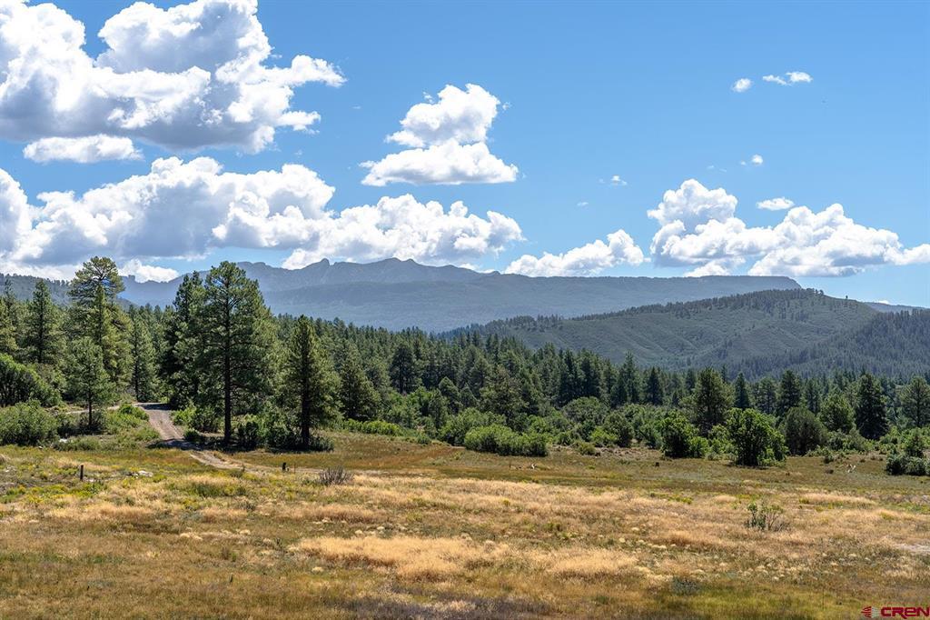 226 Serenity Place Pagosa Springs CO 81147