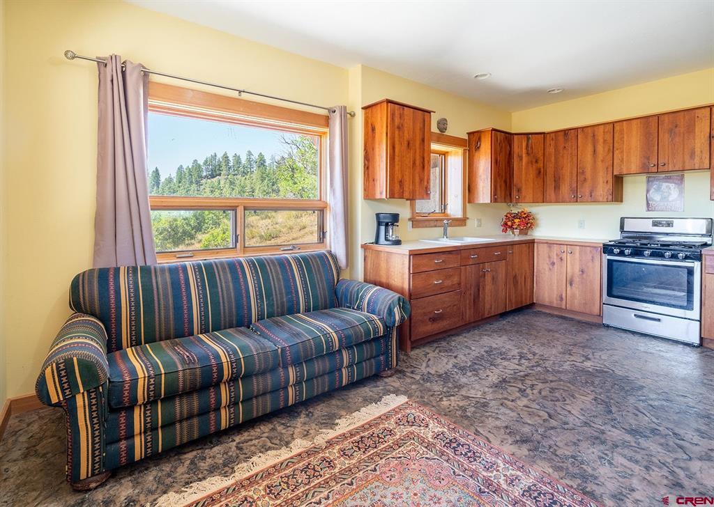226 Serenity Place Pagosa Springs CO 81147