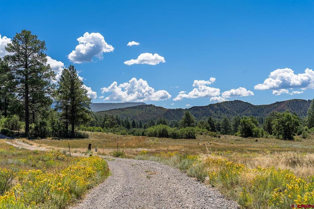 226 Serenity Place Pagosa Springs CO 81147