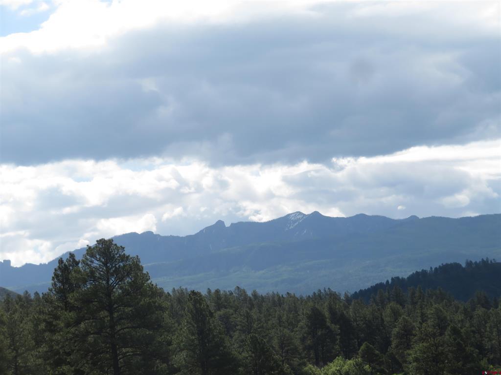 226 Serenity Place Pagosa Springs CO 81147