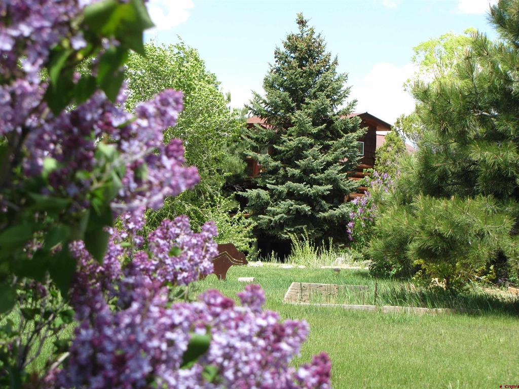11555 Road 39 Mancos CO 81328