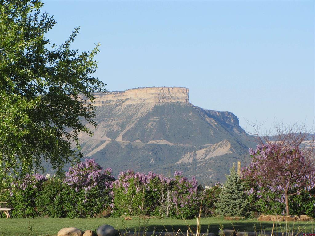 11555 Road 39 Mancos CO 81328