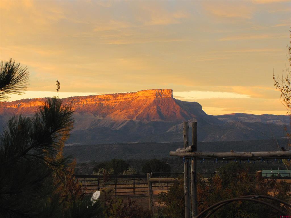 11555 Road 39 Mancos CO 81328