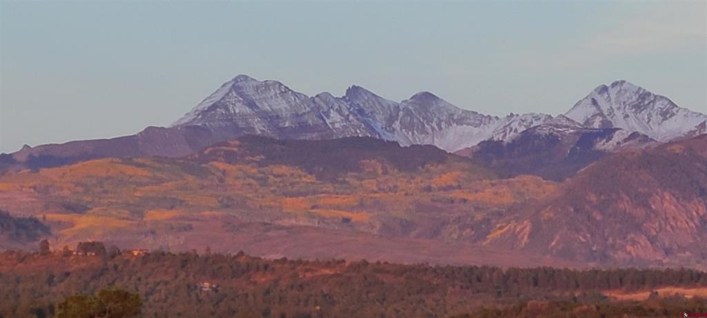 11555 Road 39 Mancos CO 81328