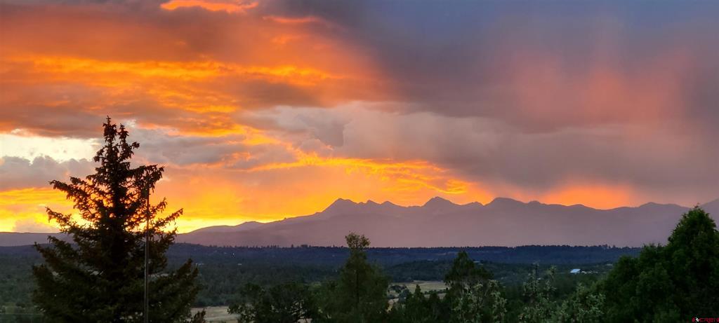 11555 Road 39 Mancos CO 81328