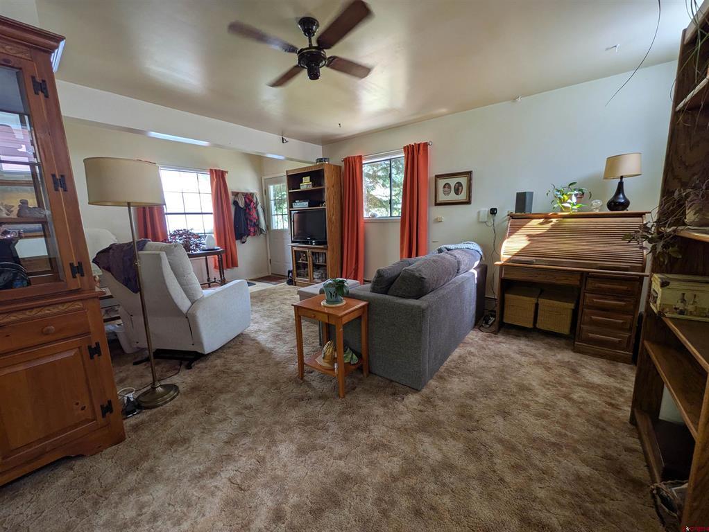 347 5th Street Ouray CO 81427