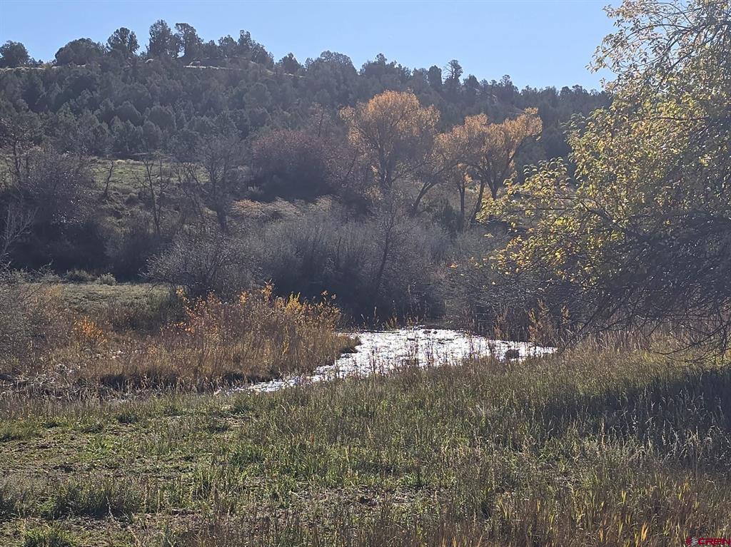 201 Cowboy Trail Durango CO 81303