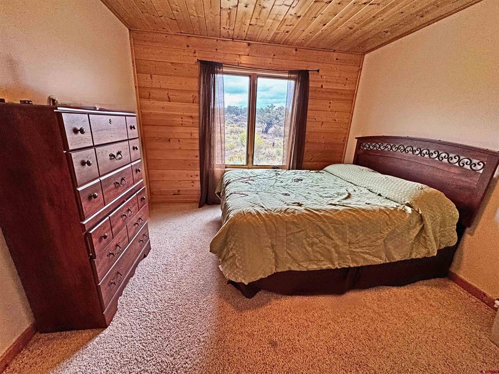 1141 Expedition Drive South Fork CO 81154