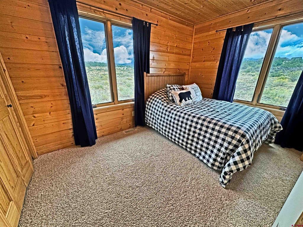 1141 Expedition Drive South Fork CO 81154