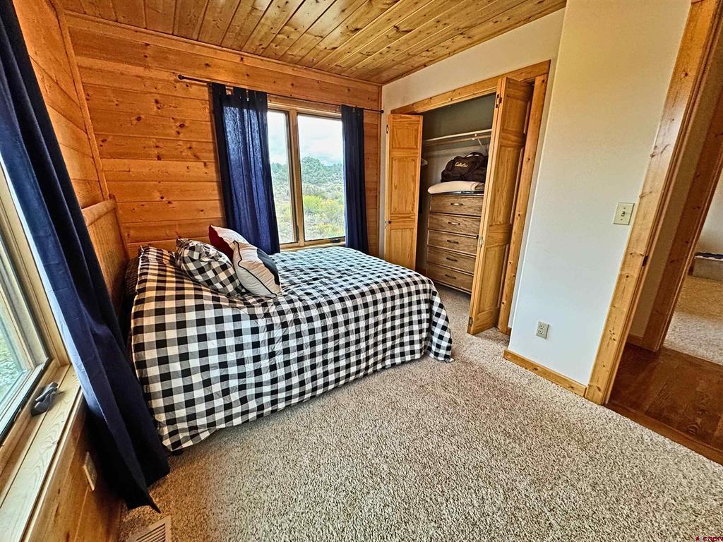 1141 Expedition Drive South Fork CO 81154