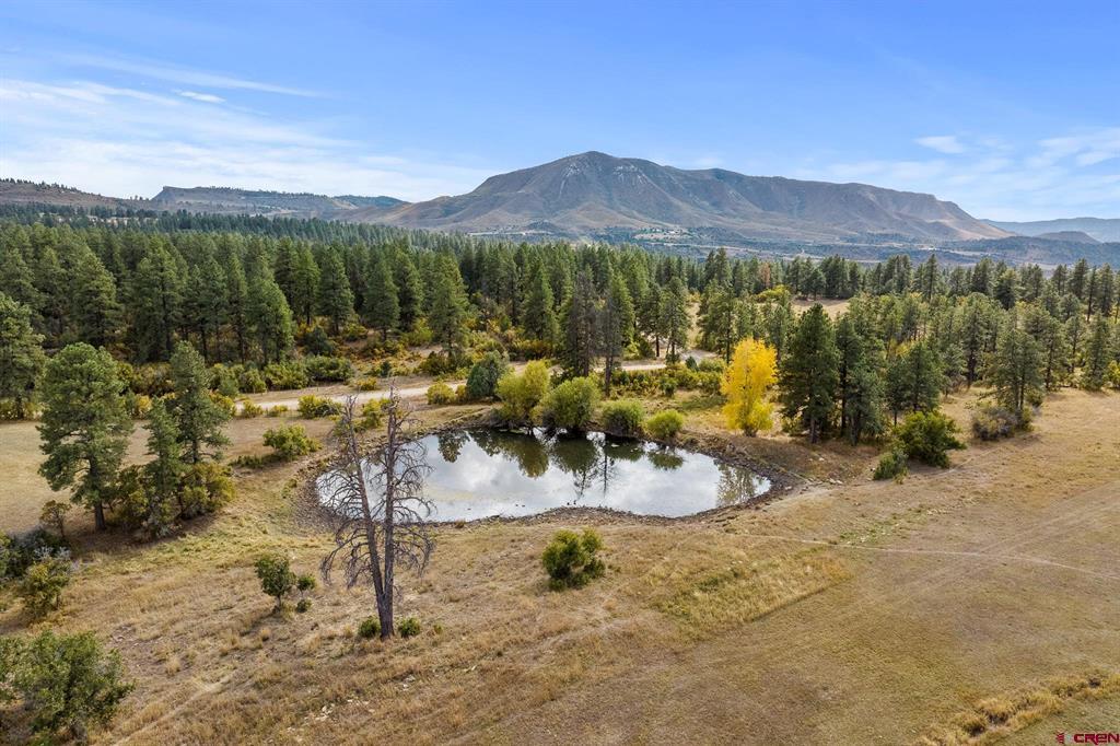 45501 Road L Mancos CO 81328