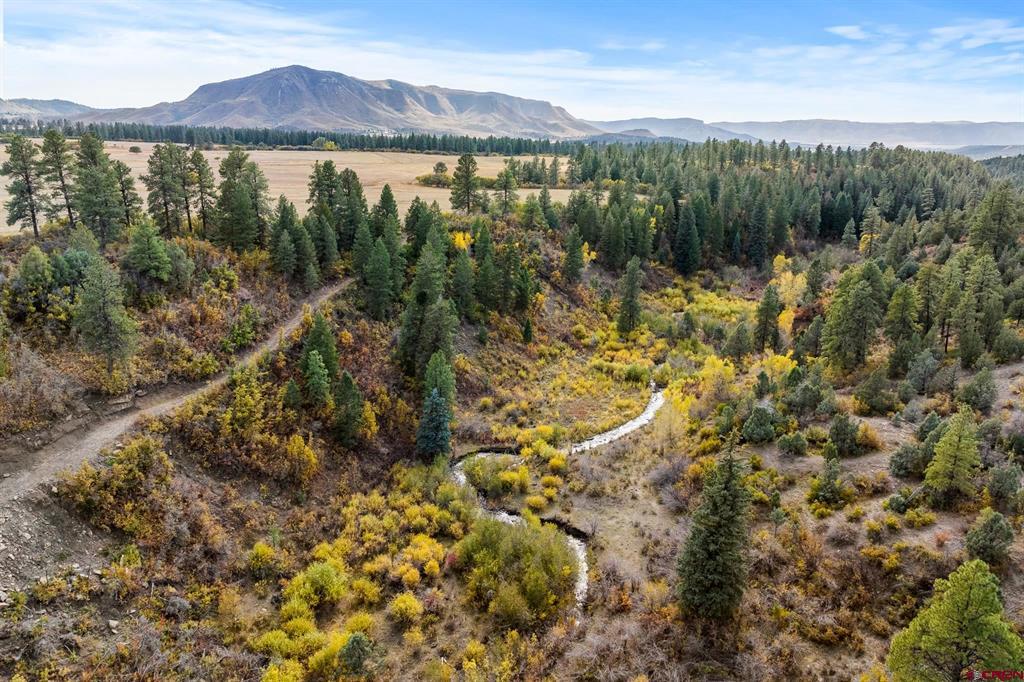 45501 Road L Mancos CO 81328