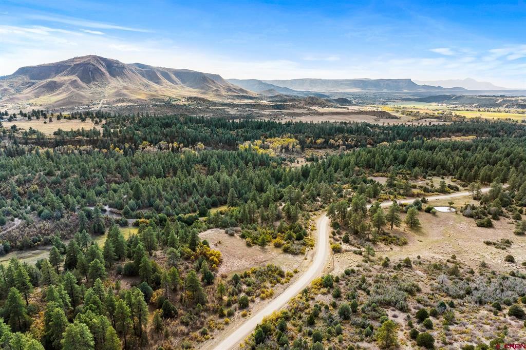 45501 Road L Mancos CO 81328