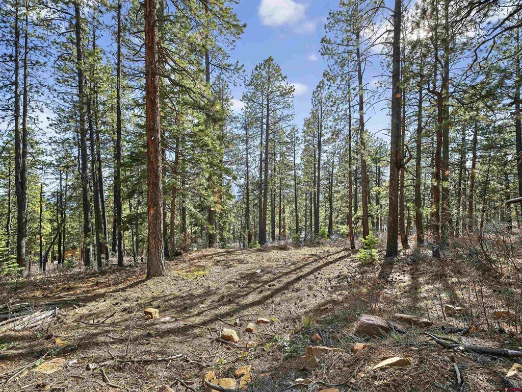 923 Groves Drive Durango CO 81301