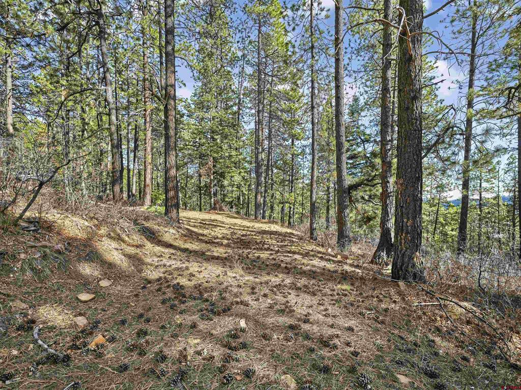 923 Groves Drive Durango CO 81301