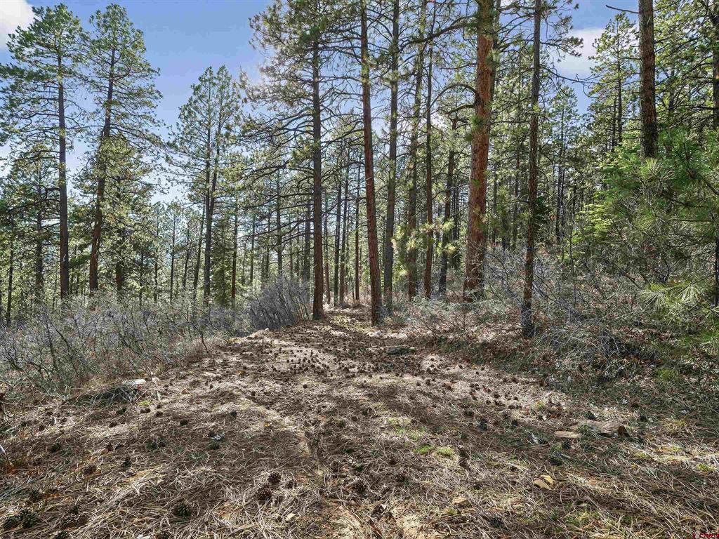 923 Groves Drive Durango CO 81301
