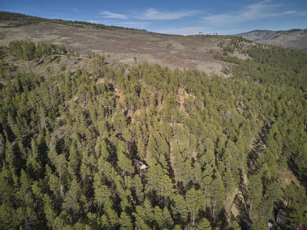 923 Groves Drive Durango CO 81301