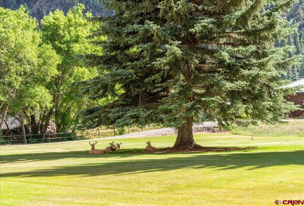 2101 Main Street Ouray CO 81427