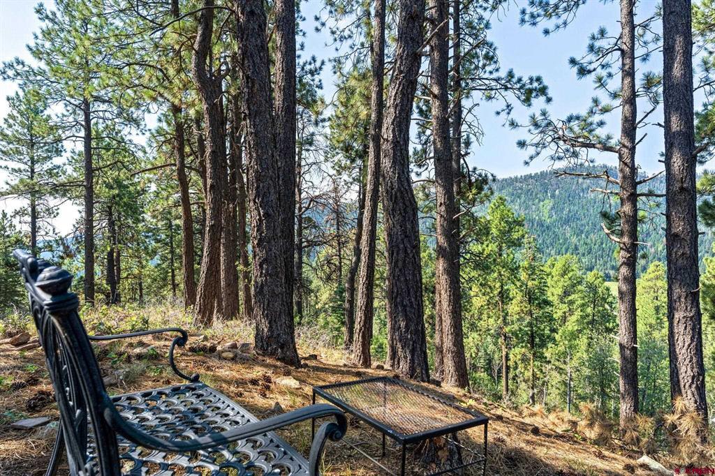 560 Groves Drive Durango CO 81301