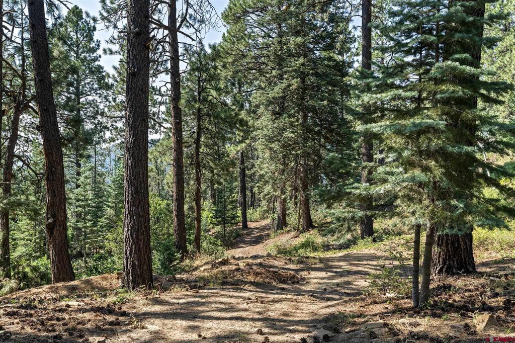 560 Groves Drive Durango CO 81301