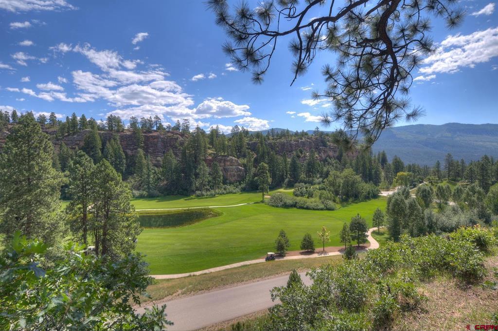 314 N Tamarron Drive Durango CO 81301