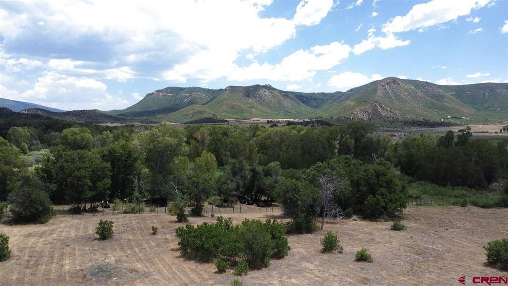 42164 Road J.75 Mancos CO 81328