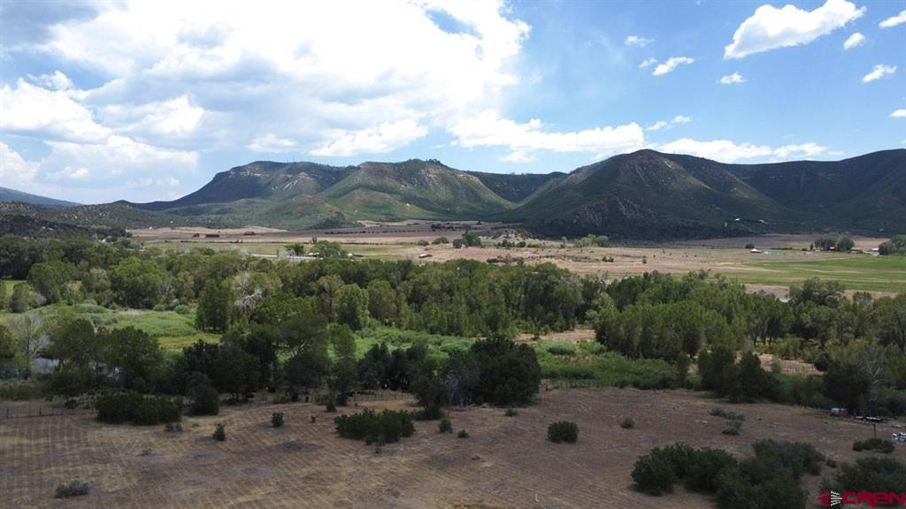 42164 Road J.75 Mancos CO 81328