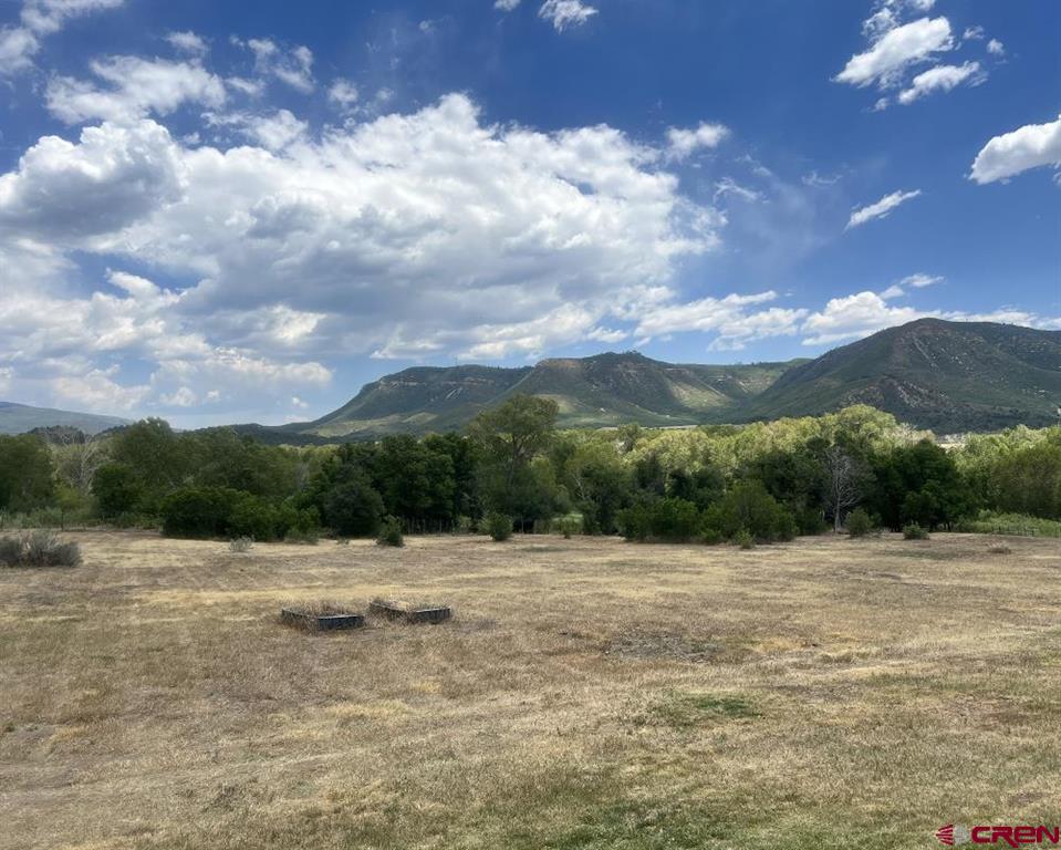 42164 Road J.75 Mancos CO 81328