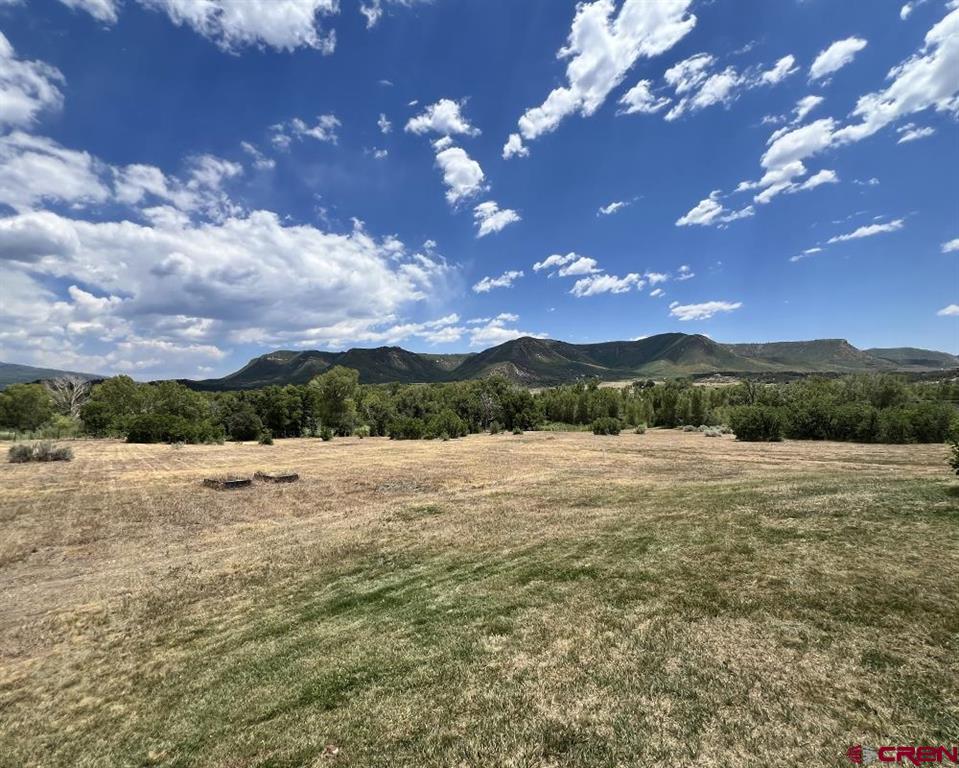 42164 Road J.75 Mancos CO 81328