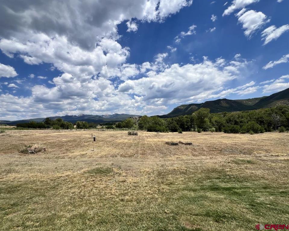42164 Road J.75 Mancos CO 81328