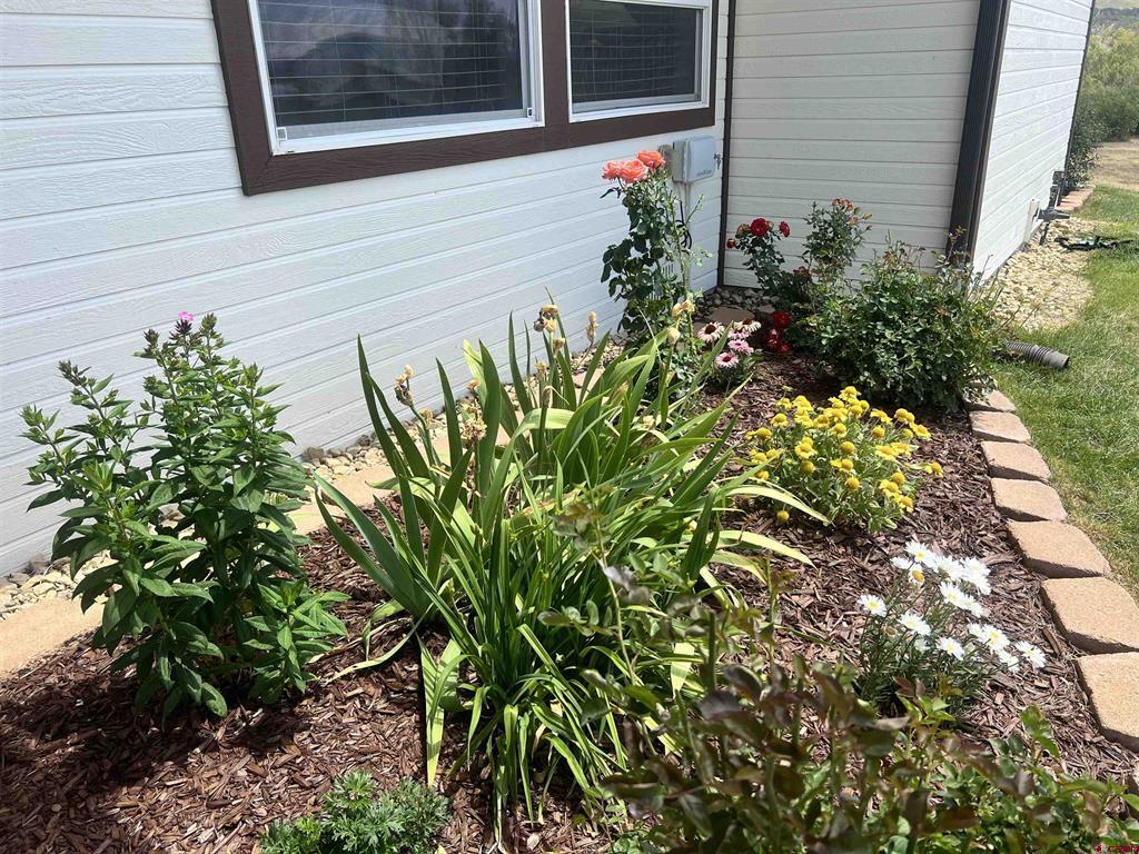 42164 Road J.75 Mancos CO 81328