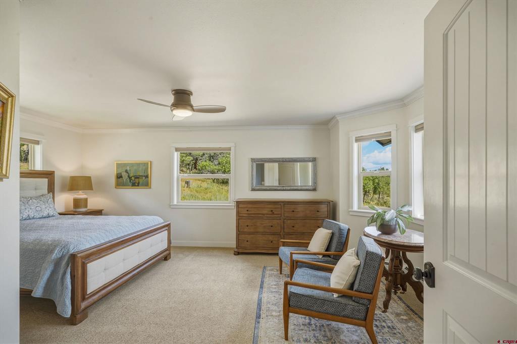 469 Buck Drive Pagosa Springs CO 81147