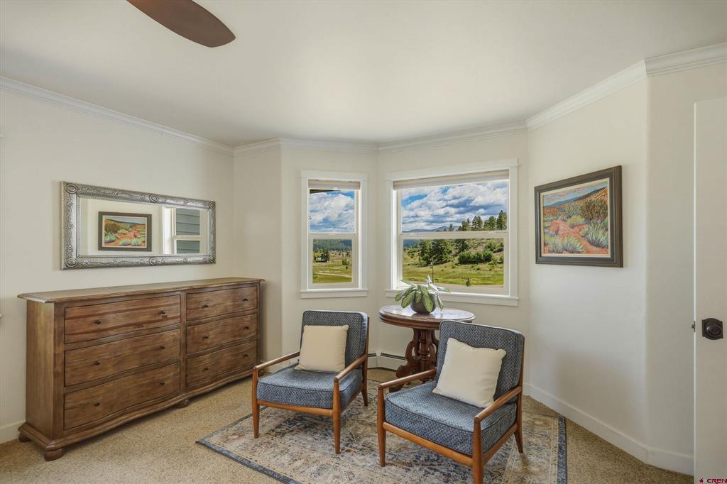 469 Buck Drive Pagosa Springs CO 81147