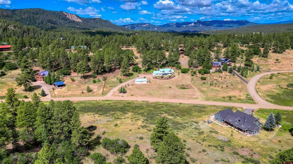 469 Buck Drive Pagosa Springs CO 81147