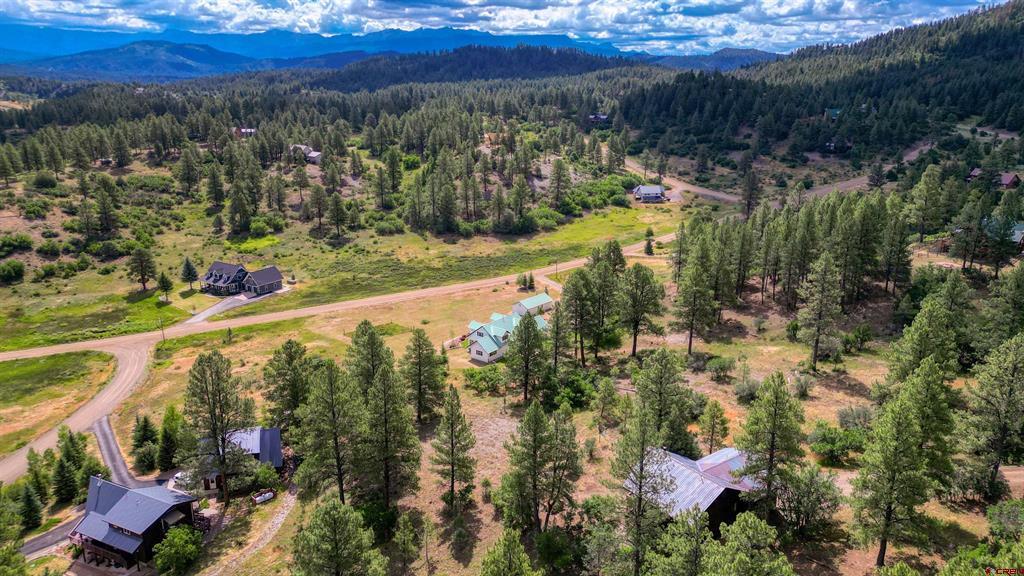 469 Buck Drive Pagosa Springs CO 81147