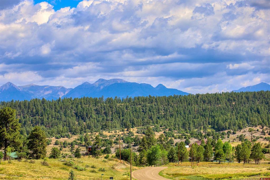 469 Buck Drive Pagosa Springs CO 81147