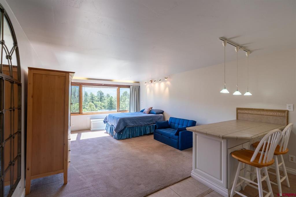314 N Tamarron Drive Durango CO 81301