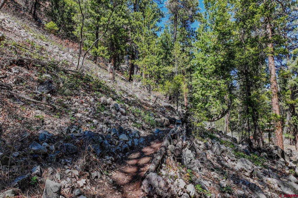 34 Crocus Court Durango CO 81301