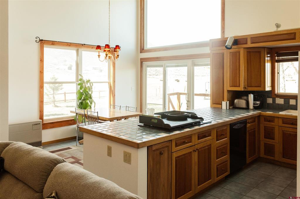 186 Willow Trail Gunnison CO 81230