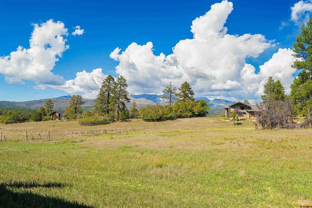 217 South Elk Run Durango CO 81303