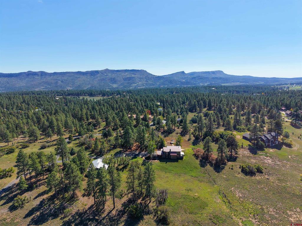 217 South Elk Run Durango CO 81303