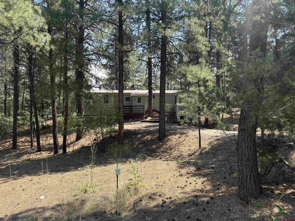 20 Bienvenido Circle Pagosa Springs CO 81147