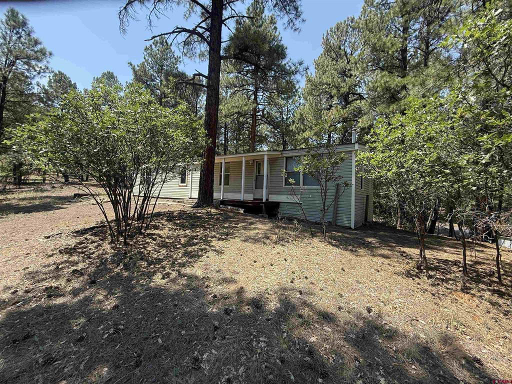 20 Bienvenido Circle Pagosa Springs CO 81147
