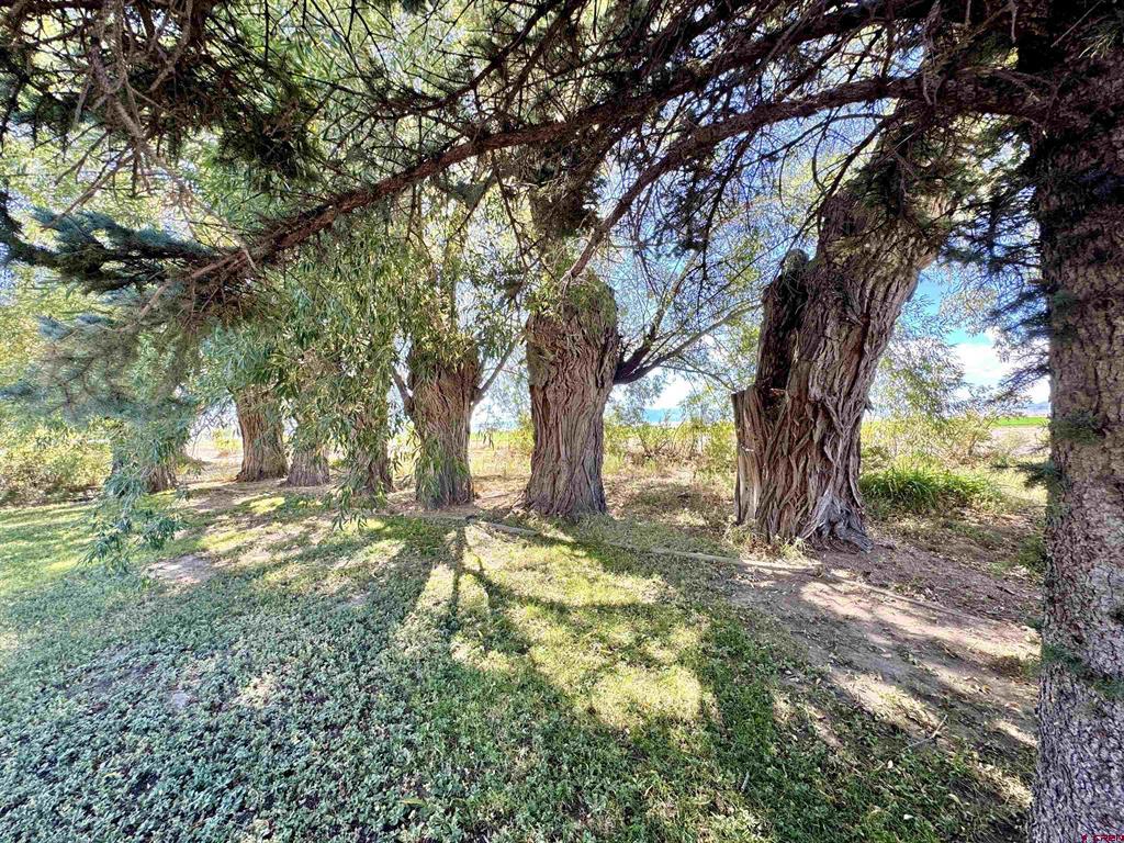 2600 S County Road 5 E Monte Vista CO 81144