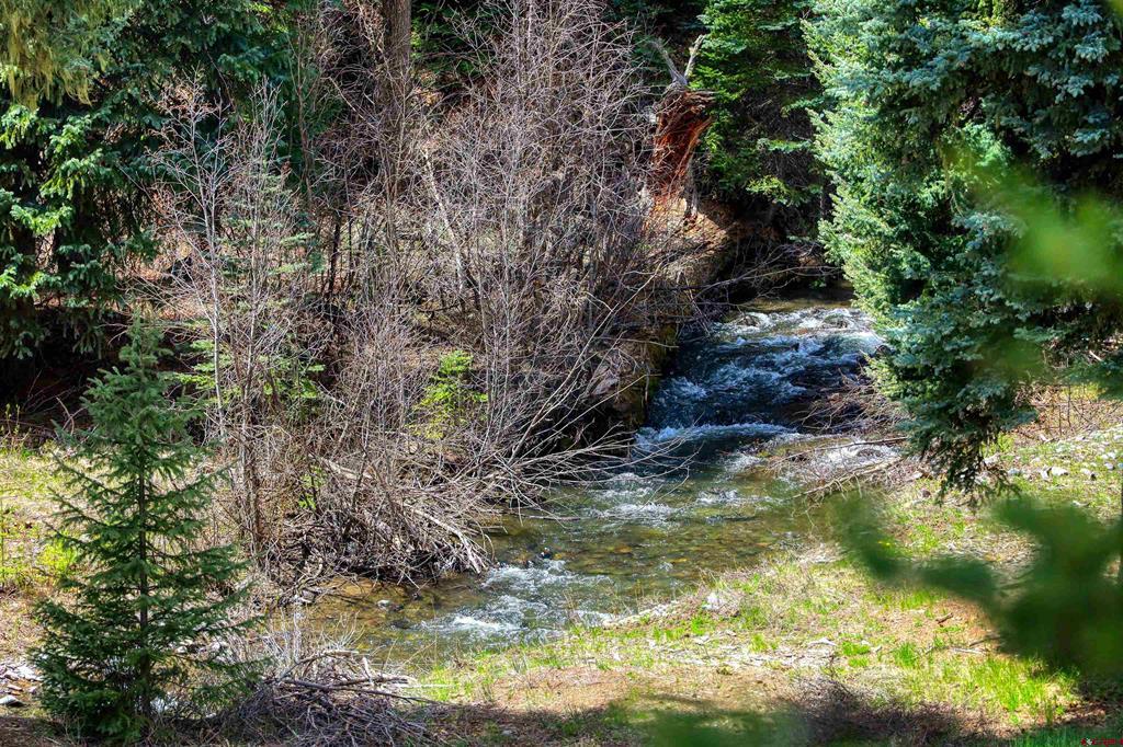 2368A Needles View Place Pagosa Springs CO 81147